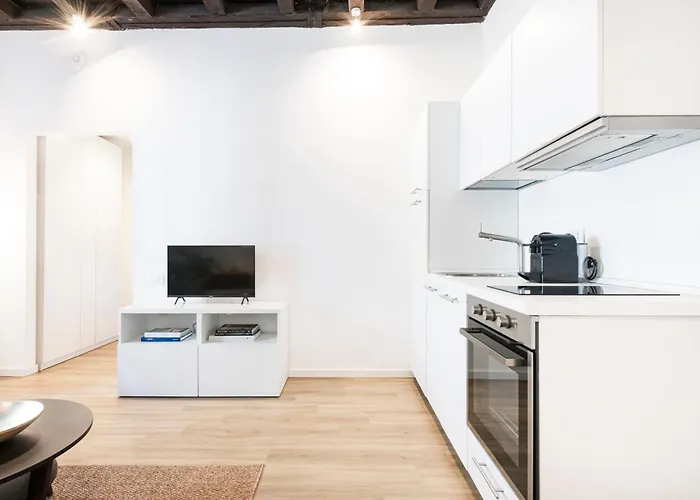 The Magnificent Apartment